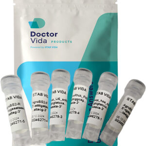Doctor Vida set of 6 Oligos for customized LAMP Master Mix
