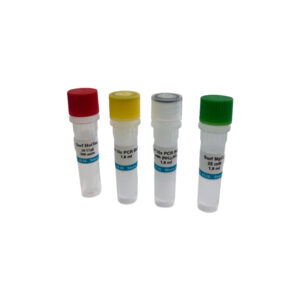 Doctor Vida Surf HotTaq DNA polymerase 500 units | 1500 units | 2500 units